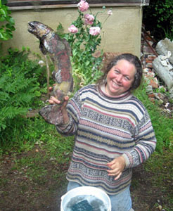 Fresh raku fish out of the water